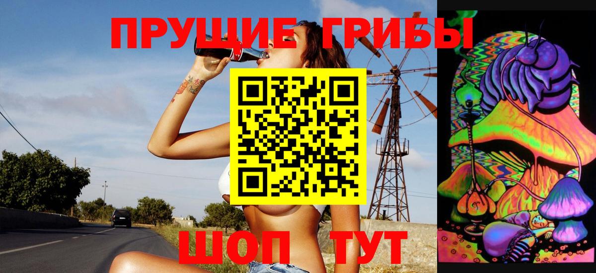 закладка  Галлюциногенные грибы Cubensis  Вход с VPN  Томск 